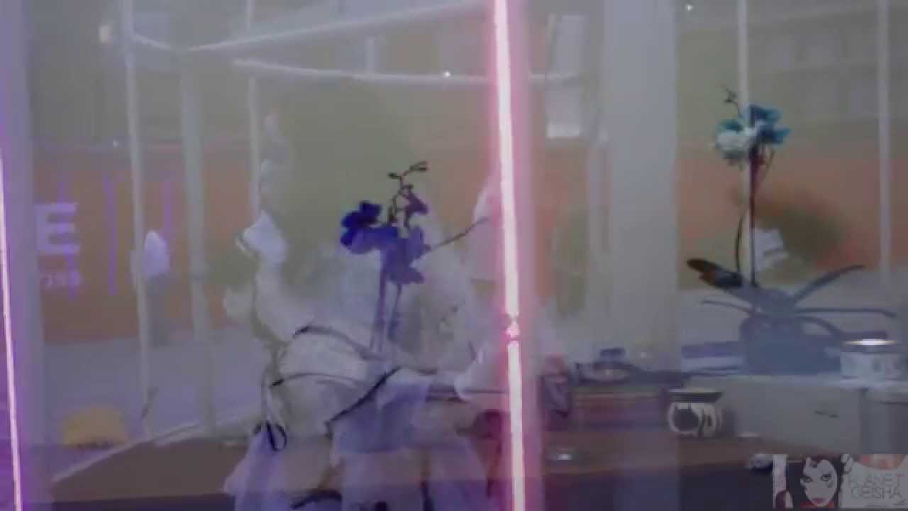 Geisha Davis - Thrill is Gone Geisha Davis VS, Flex In The Mind