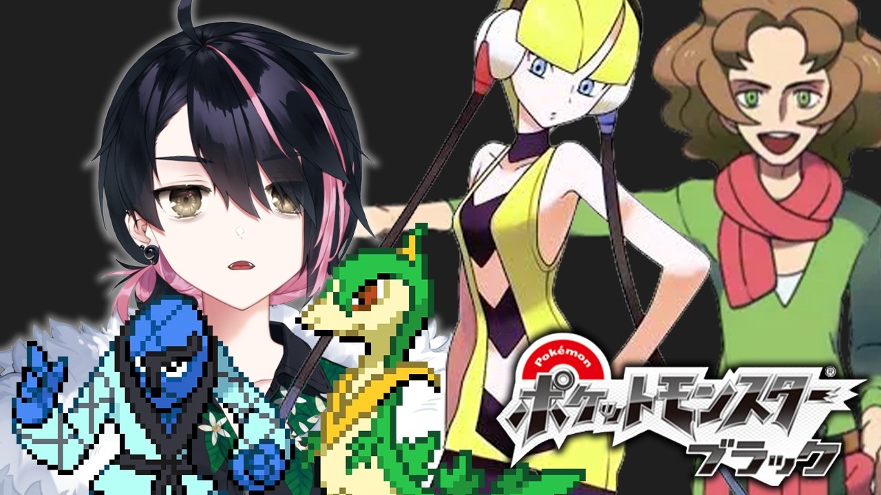 おそらくジム戦【ポケットモンスターブラック】