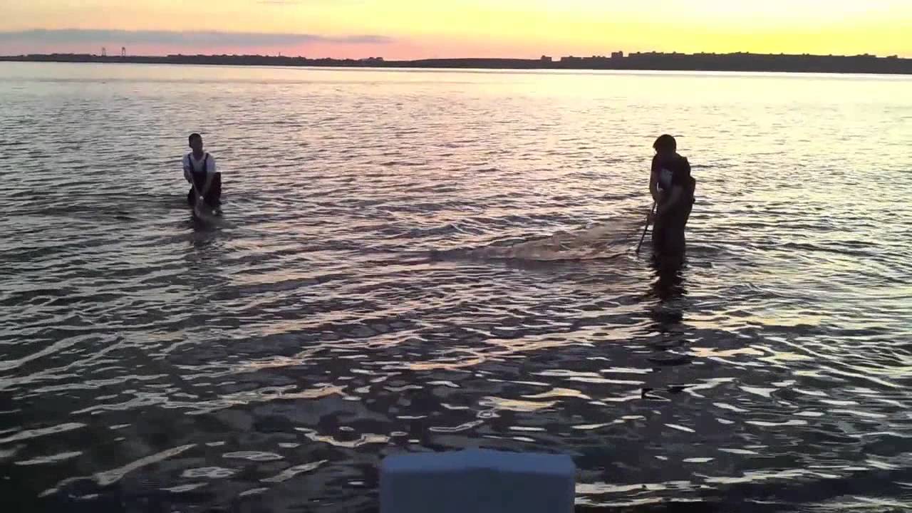Fishing at Crossbay YouTube