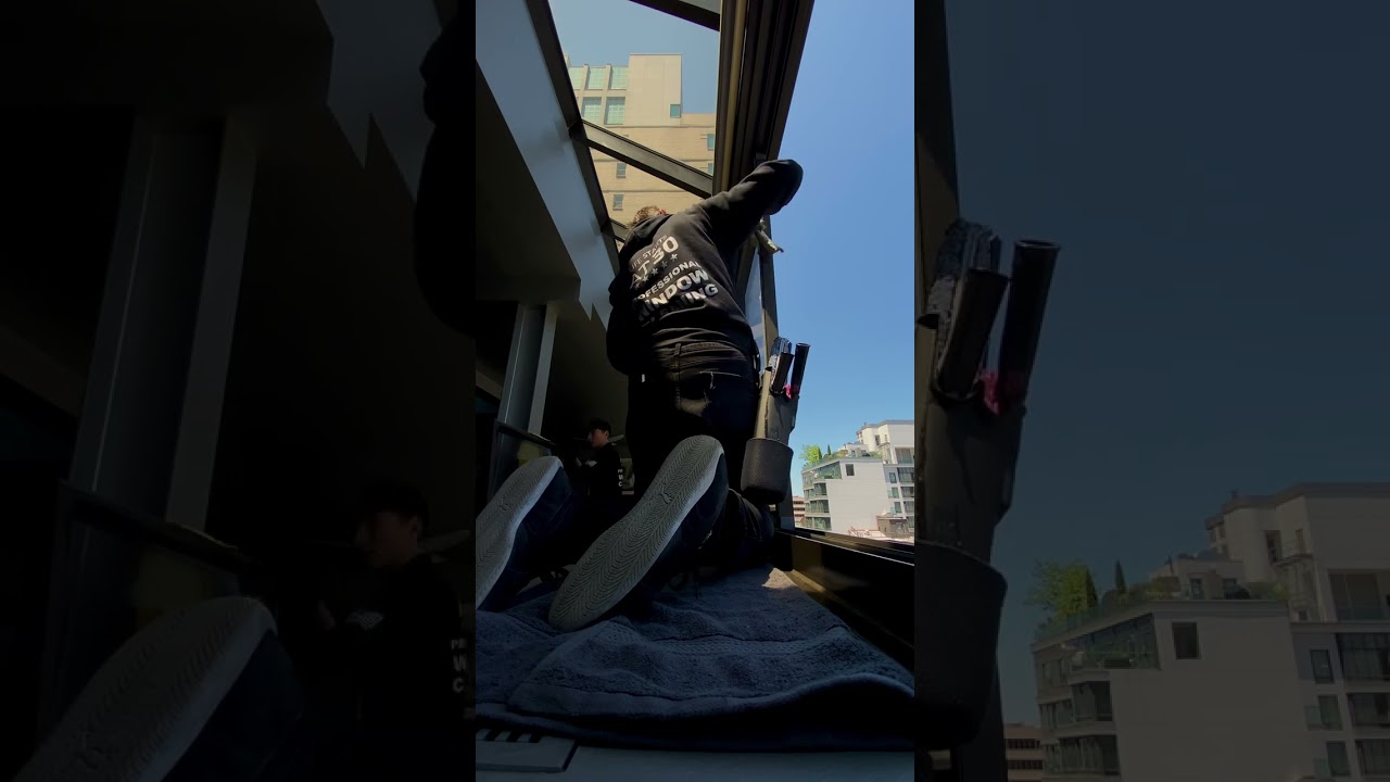 Harmonizing Homes with Pristine Windows