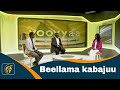 Beellama kabajuu