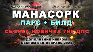 Чародей в мана билде для новичков Некром 210 ОГ 79к дпс посохи ESO Necrom Sorcerer mana