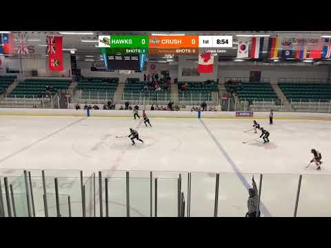 Leitrim Hawks U14 vs Crush - Jan 17, 2026 - HD