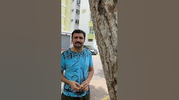 🥰 யாரு Best? அப்பா or அம்மா? 😍