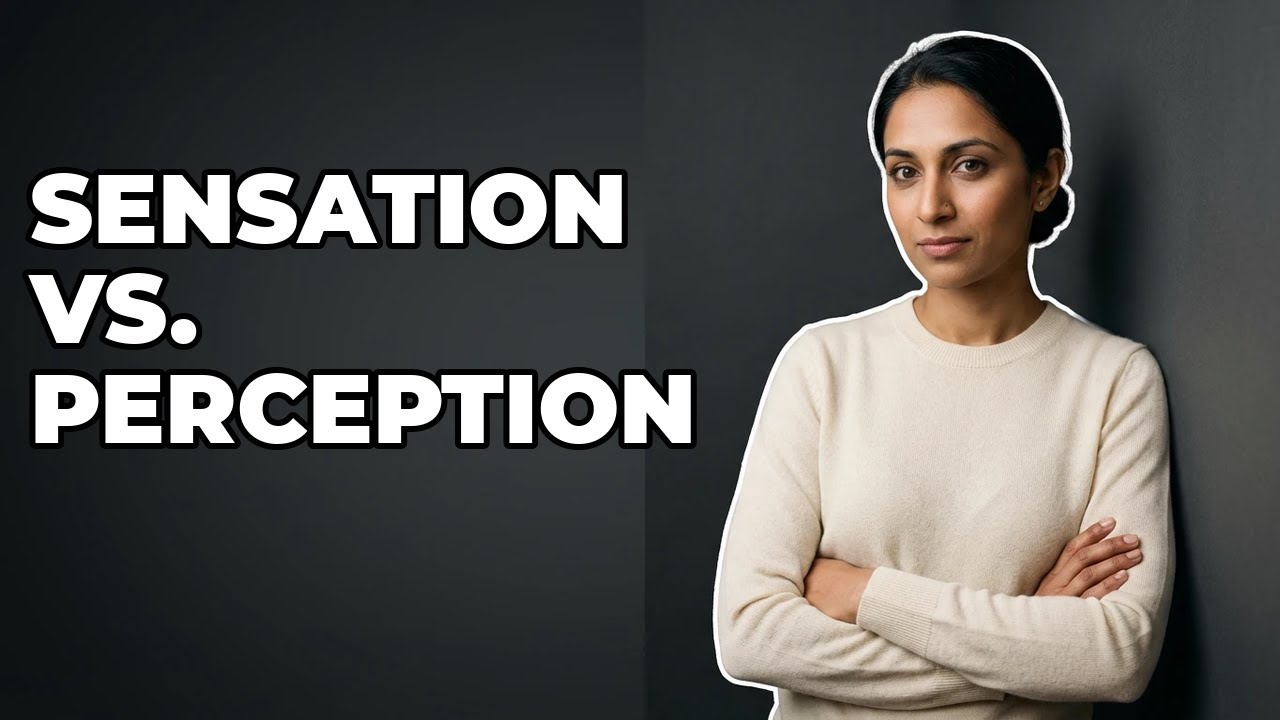 What Is The Difference Between Sensation And Perception? - YouTube