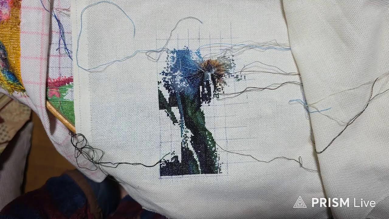 IGA stitch ライブ配信