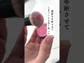 共演女優がミスを連発し、現場がピリつく中浜田が放った一言 #お笑い #芸人 #ダウンタウン #浜田雅功 #感謝