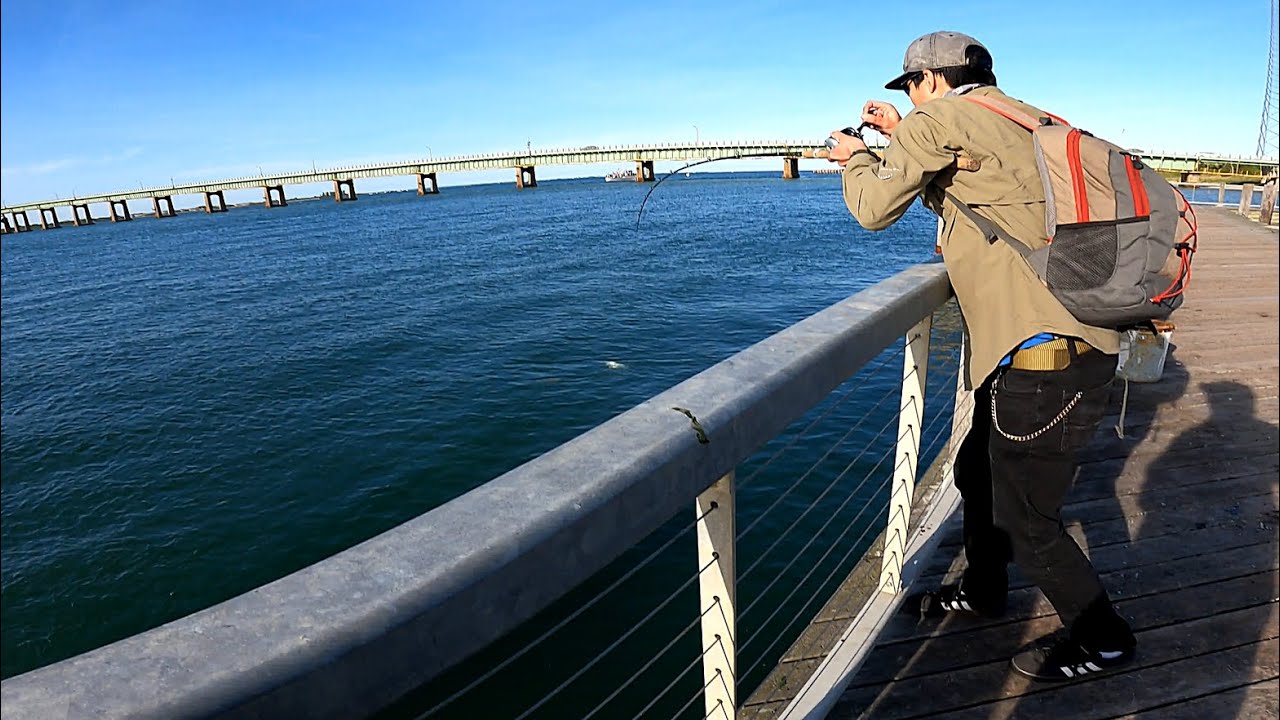 Tim's 7 Year Cycle - BLUEFISH & FLUKE PIER DOUBLE HEADER - Jigging with The Fishing Ham