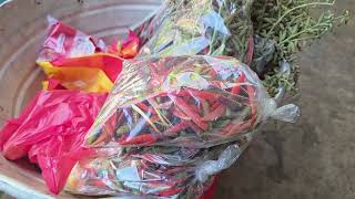 Comercio de flor de pito