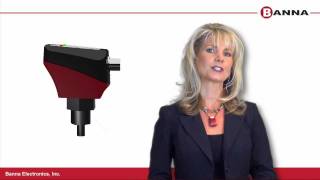 Banna FT20N thermal flow switch (sensor)