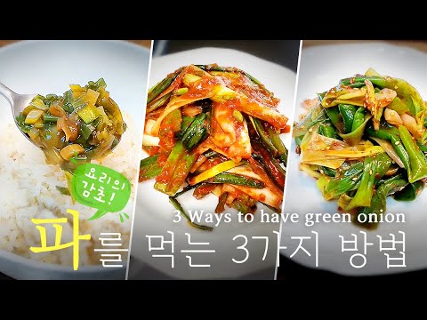 [초간단] 파 요리 3가지 /// 3 simple and tasty green onion dishes. - YouTube