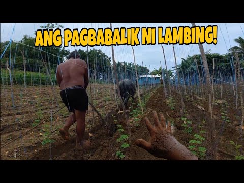 ANG PAGBABALIK NG PINAKAMAGANDANG TANDEM TATAYRIOT & LAMBING!@burdzjason2097 