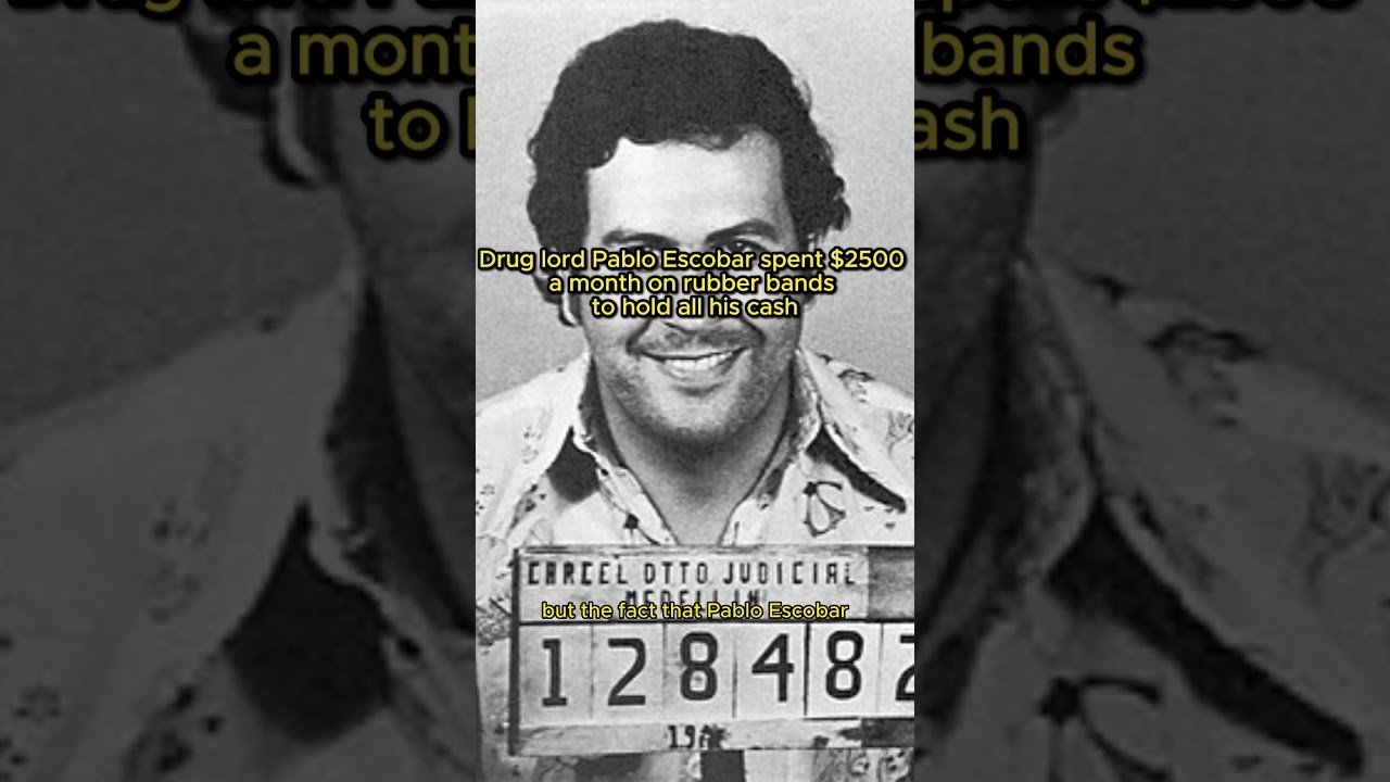2500 $ On Rubber Bands | pablo escobar drugs | Wealth