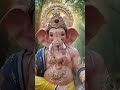 #ganpati bappa morya