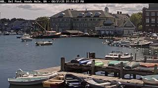 Preview of stream MBL Eel Pond Web Cam