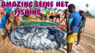 Big caught of fish and sea turtles, Amazing seine net fishing🐢🐠