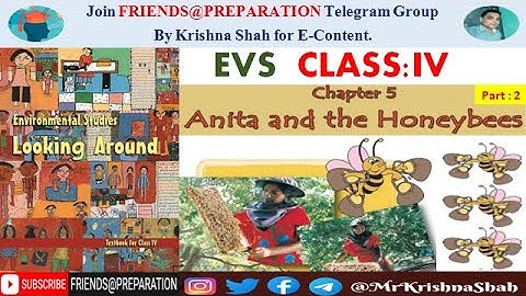 Anita and the honeybees - Chapter 5 Class 4 EVS |  Part 2