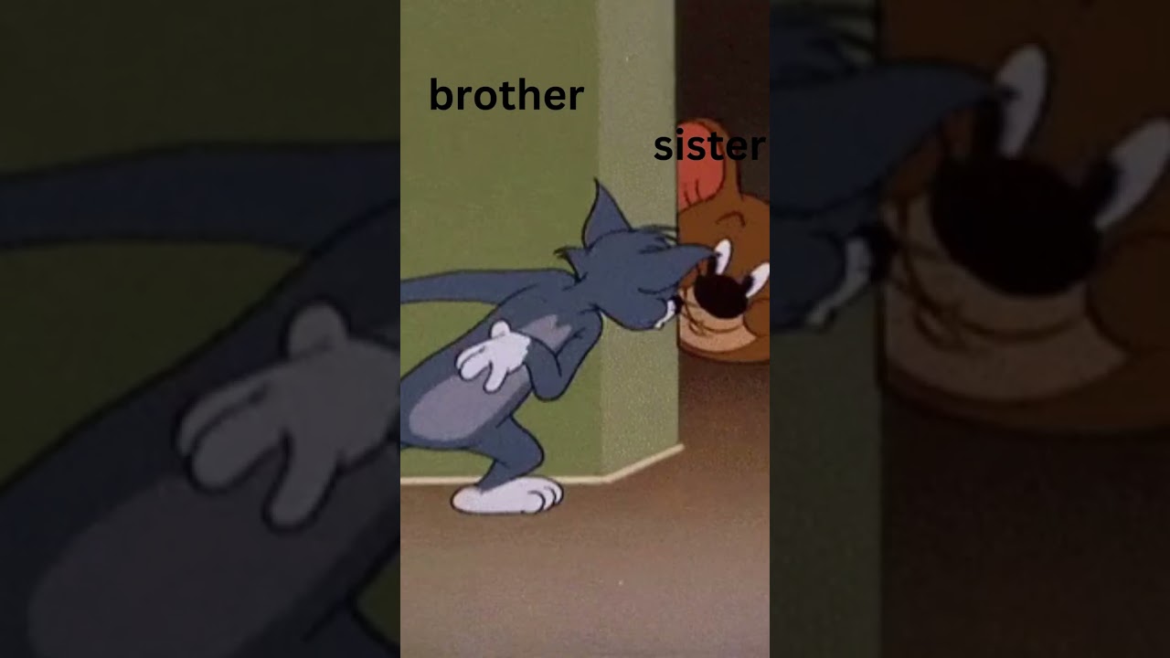 brother vs sister || funny WhatsApp status || 