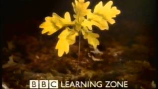 Bbc learning zone ident 1997 -