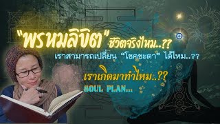 "พรหมลิขิตชีวิต"จริงไหม? (Soul Plan) | เราสามารถเปลี่ยนชะตาชีวิตได้ไหม? | เราเกิดมาทำไม?
