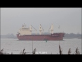 FEDERAL SATSUKI | Weser h&ouml;he Brake Unterweser