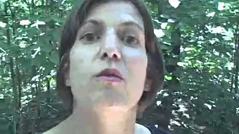 Sarah Bruck on American Transcendentalis...