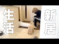 独身男が愛犬の為に全力を尽くした２日間【トイプードル】