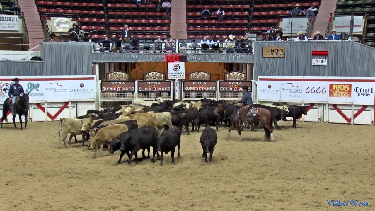 Ichis My Choice & Grant Setnicka - 2016 NCHA Super Stakes Reserve Champion