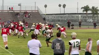 IMG 9799