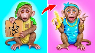 Od Pitomce K Populárnímu Opice Multi Do Challenge