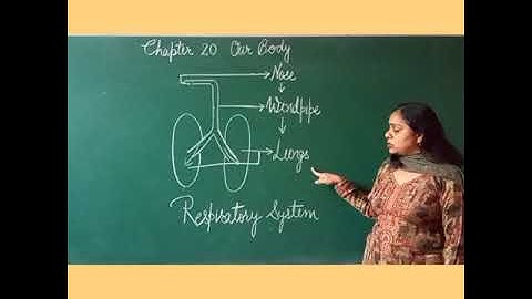 Class 3 EVS Chapter 20 Part 1