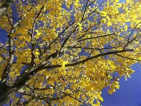 Rondalla Universo Romantico COMO AYER