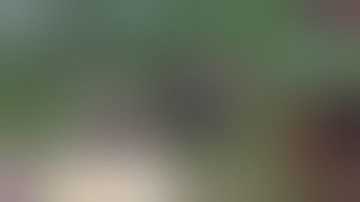 Phong Tục Ma Chay của dân tộc mông/ Đám tang giết mổ ghê nhất