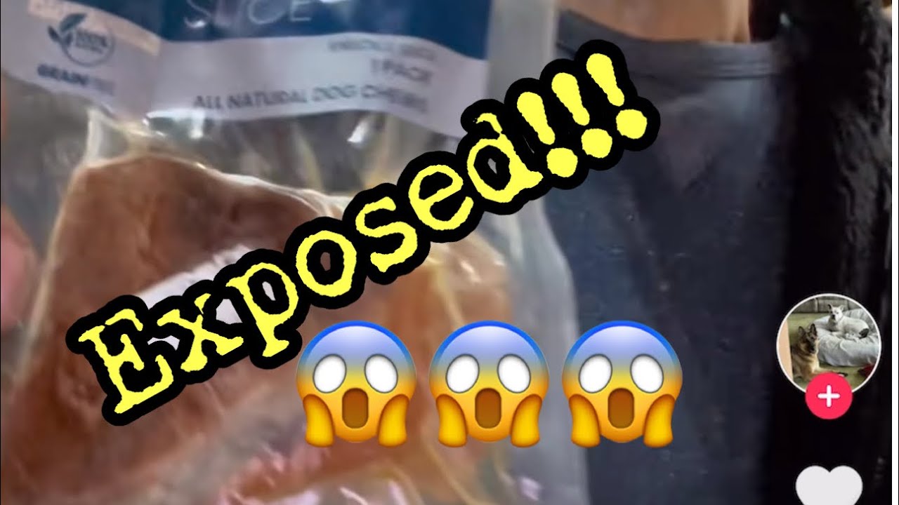 Cute Dog Treat Company Names