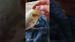 Милая Птичка 🐥