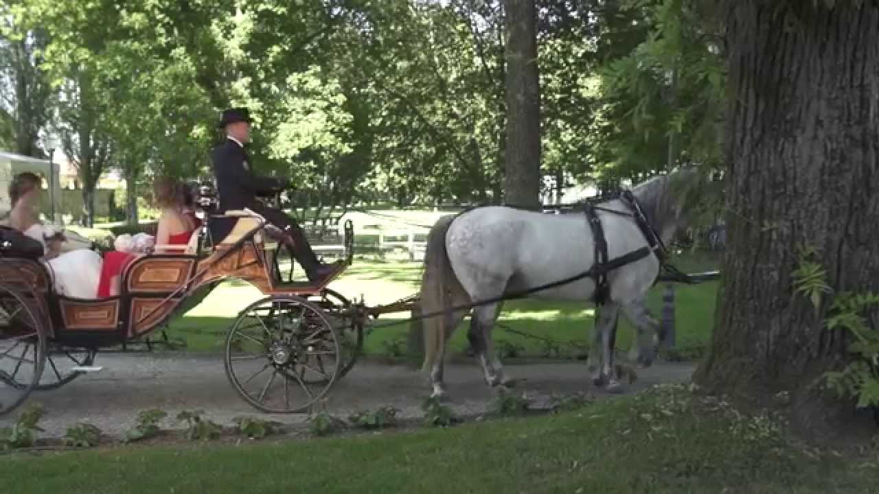 Servizi esclusivi al Castello dei Solaro