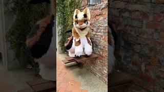 Alley dragon Alley dragon