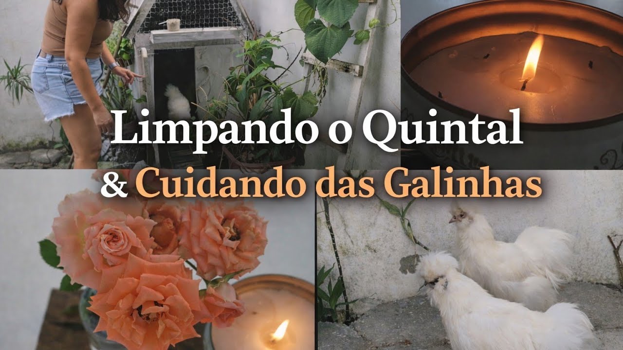 🕯️Um Dia Simples Cuidando do Quintal e das Galinha☕🐔🐣
