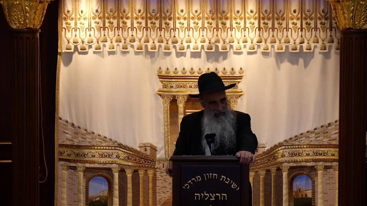 הרב מאיר דוד שמואלי שליט"א - שידור חי יום א' - פרשת שופטים תשפ"ו