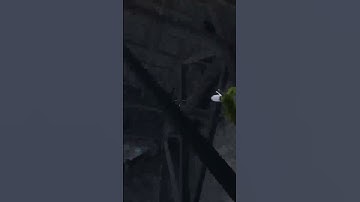 Didn’t even hear the grenade being dropped #dayz #dayzpvp #gaming