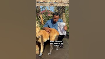 Please kindly donate . Gofundme me link in the bio. PayPal link in the bio.