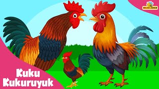 Kukuruyuk Childrens Song  Rooster Song Crowing Rooster  Popular Childrens Song