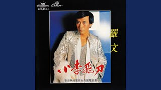 Xiao Li Fei Dao