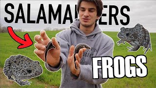 Finding CRAWFISH FROGS And TIGER SALAMANDERS! (Part 2)