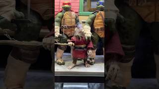 “We have #sdcc at home” pt. 6! #tmnt #ninjaturtles #shorts #bebop