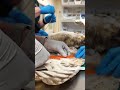 Owl found stuck in a concrete mixer in Utah is on the mend and flying free #shorts