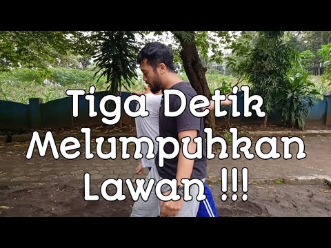 Melumpuhkan Lawan dalam 3 Detik!