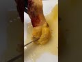 海のパイナップルって知ってる?