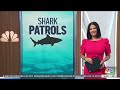NBC New York Morning News: 7/31/2026 NYPD vs. Sharks | Flying Tire Video | Gaza | New Trend?