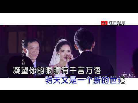 雨宗林 - 此情不渝（高清1080P）KTV原版